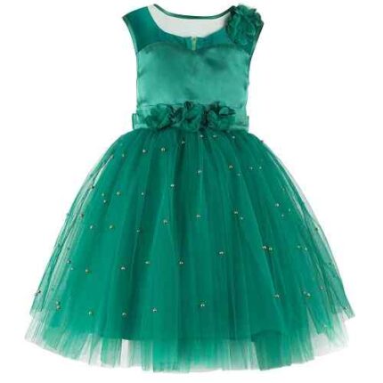 Green Net Frock