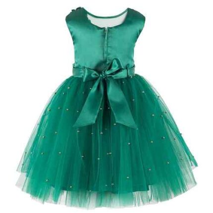 Green Net Frock